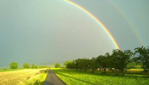 Ferienhof Schlössle - Foto 4