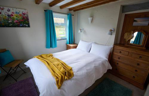 Golan - Ukc4677 - Foto 10