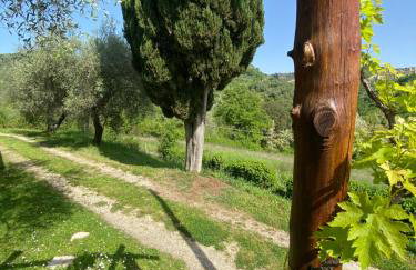 Dimora Bella Civita Bagnoregio - Photo 42