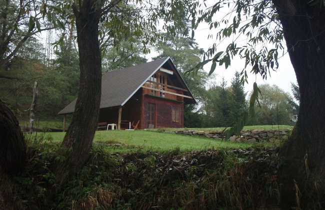 Pet-friendly Holiday Home - Photo 1