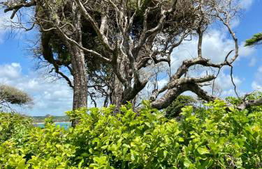 Casa de praia Enseadas do corais - 20 metros da praia - Foto 33