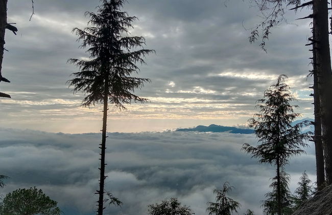 Eva Cabins - Photo 15