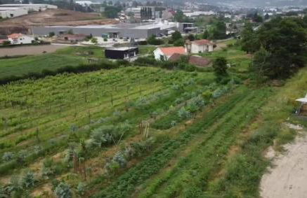 Quinta do Pinheiro - Foto 49