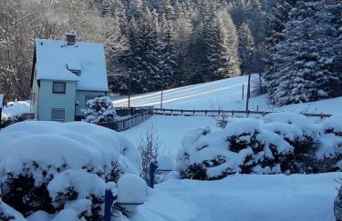 Ferienhaus Rosemarie Erlbach Vogtland - Foto 27