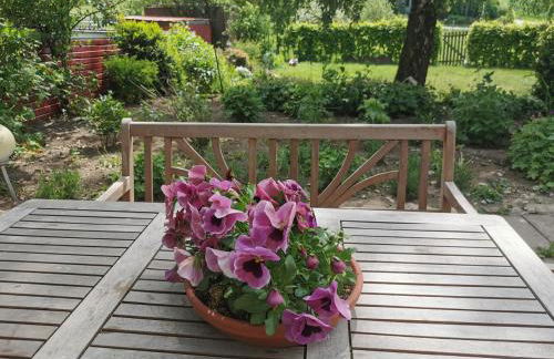 Lavendelmond Ferien - Foto 7