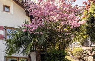 Die Villa bei Meran - Foto 61