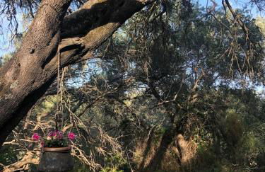 Apagio Othonoi Car Included - Foto 45