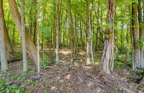 7 Mi to Kaaterskill Falls Home with Mountain Views! - Foto 23