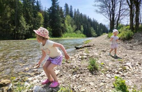 Owca za płotem - Foto 3