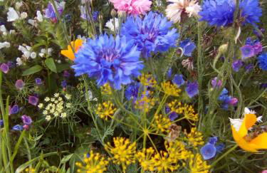 Le Clos Doux - Foto 30