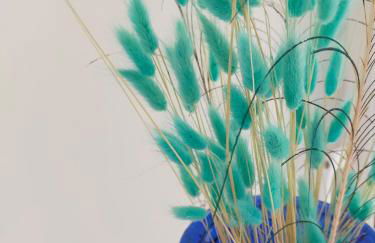 La Maison du Quai Triplex de charme 4 étoiles en hyper centre avec SPA - Foto 48