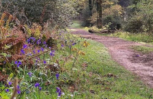 May Cottage - Heart of Vibrant Village & 10 mins Walk to Beach - Photo 21