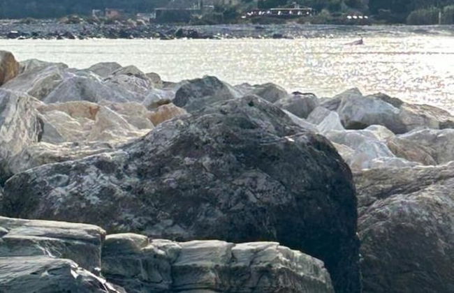 The Rocks a Stone's Throw Away - Foto 32