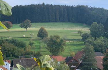 Nibelungen Odenwaldhaus - Foto 69