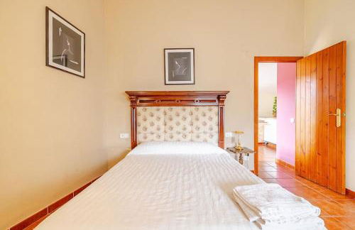 Hort de la Cinteta - Foto 28