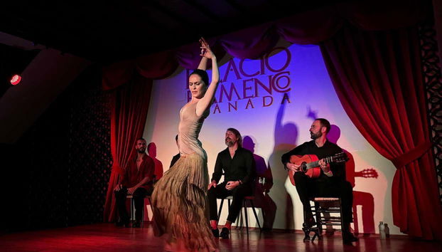 Bienvenue au Palacio Flamenco
