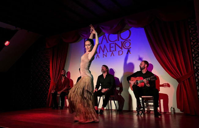 Spectacle de flamenco au Tablao Palacio Flamenco - Photo 4