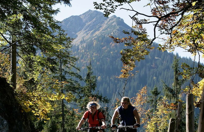 Ferienwohnungen am Buchbrunnen - Foto 39