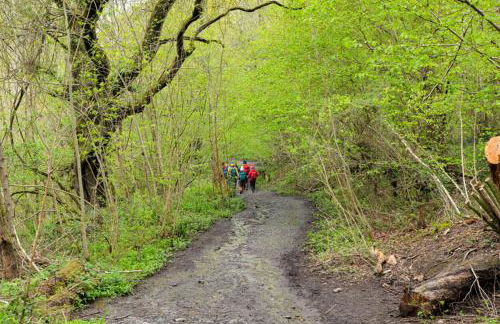 Little Hollows Glamping - Foto 55