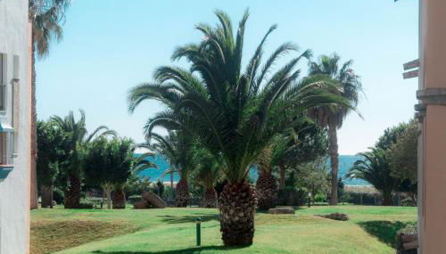 Apartamento Atlanterra Playa - Photo 3, Garden