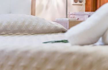 Travel Habitat Jardines Rio Turia. - Foto 20