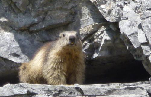 Metsola Apartamentos Rurales - Foto 47