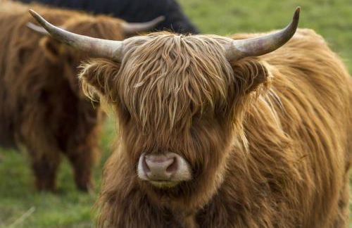 Arden Country House - Foto 20