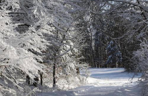 Ferienhaus in Hessen mit Grossem Garten - Foto 77