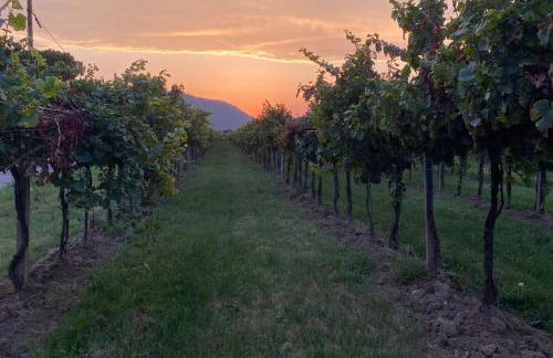 Villa Mattei Franciacorta - Foto 22