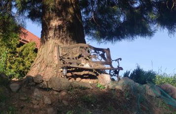 romantische Ferienwohnung im Vogelsbergkreis - Foto 15