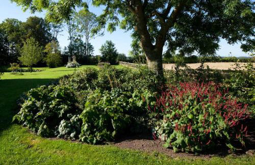 Kiekutsland - Foto 50