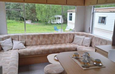 Ulinia Wilcza 4 beżowy - Photo 6