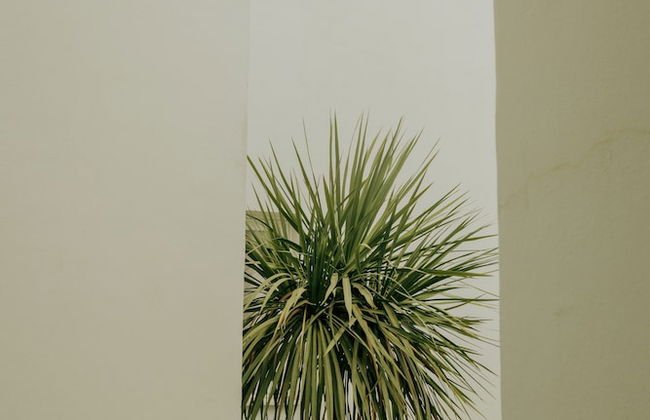 Apartamentos Bora Bora - Adults Only - Foto 53