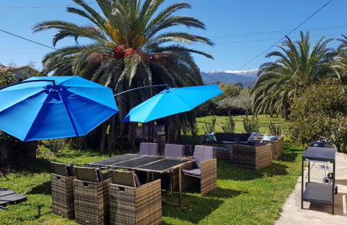 PALMA Piscine chauffée Grand jardin avec piscine à 1 km de la mer - Foto 1