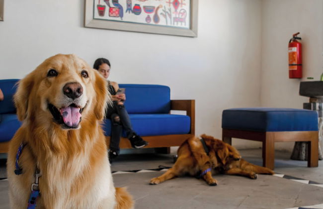 Puerto de Luna Pet Friendly & Family Suites Hotel - Photo 1