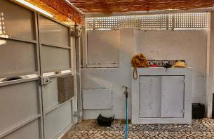 Vila Nogueira De Azeitao - Amaral's Guest Houses - Foto 25