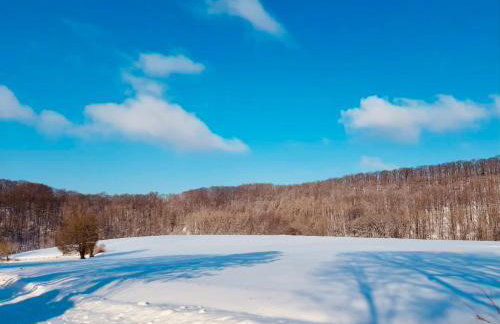 Premium-Ferienhaus - Extertal Ferienpark - #36 - Photo 44