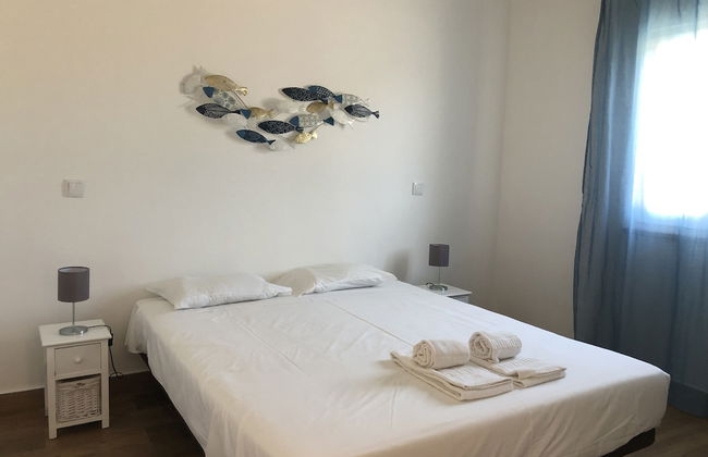 Monte Sardinha - Foto 19