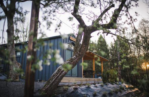 Domki pod Krakowem - Stare Sady - Photo 129