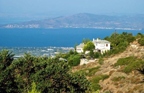 Great Pelion Villa Villa Thalia Private Pool 3 Bedrooms - Foto 8