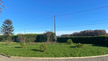 Logement spacieux 70m2 - Photo 2