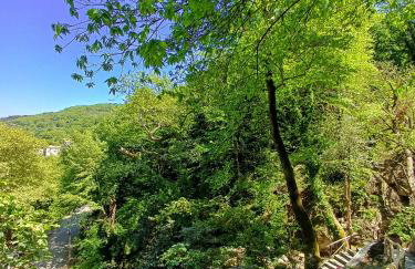 The Mushroom Cottage - Foto 46