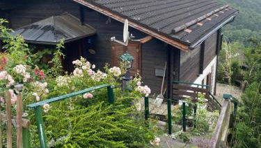 Urlaubsstube1982 - wildromantisch mit Kamin und rustikalem Charme - Foto 2