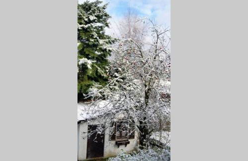 Landhaus Haid - Foto 24