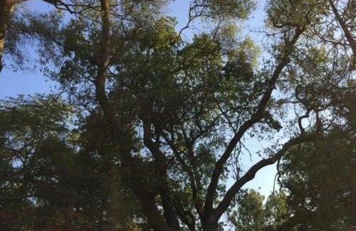 River Retreat near Sequoia National Park - Foto 9