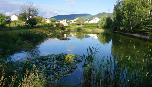 La maison et l'étang de pêche - Foto 3