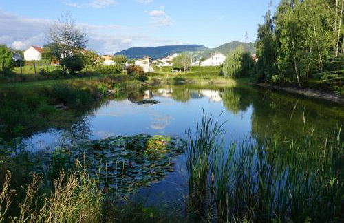 La maison et l'étang de pêche - Foto 3