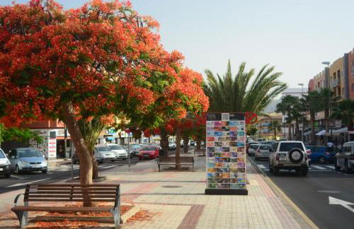 Vacacional Candelaria la Sardina - Foto 77