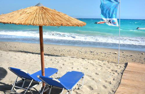 Paradise Studios - Foto 18