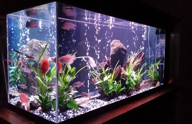 Viewpoint Villa - Photo 32